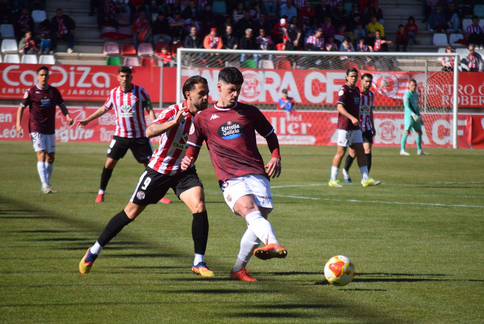 Zamora CF - Pontevedra CF (43).JPG