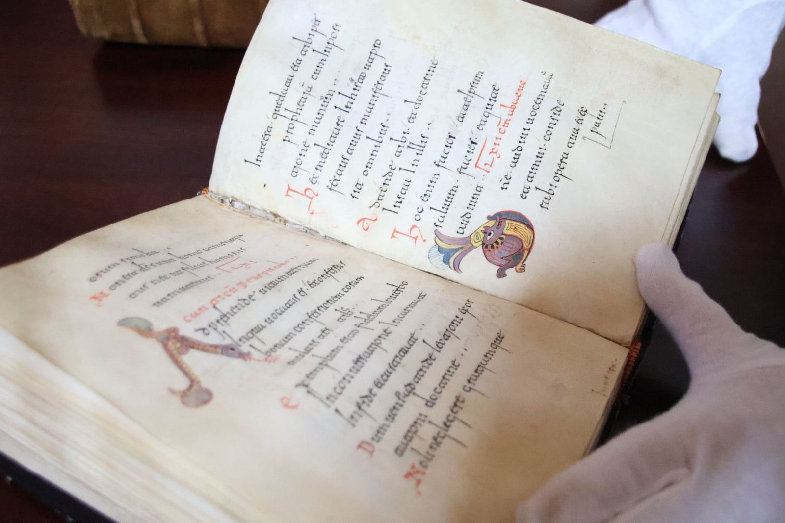 20231005105948-img-1302