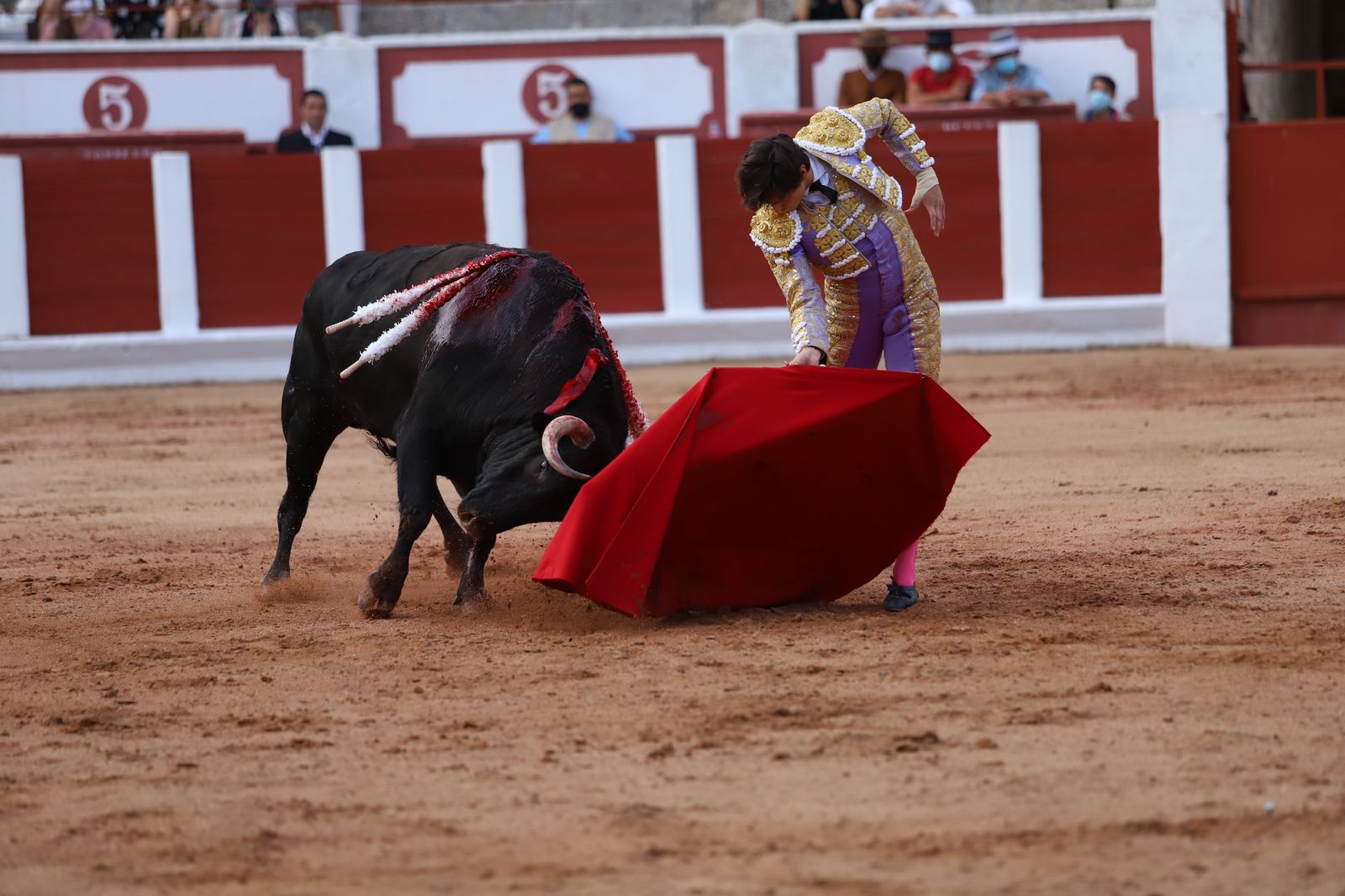 roca-rey-pablo-aguado-y-daniel-luque-en-zamora-16