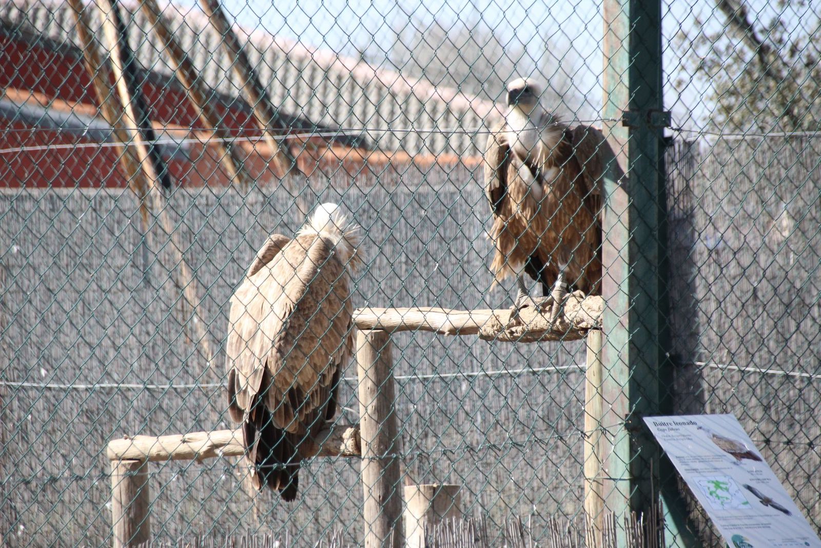 20230304151806-img-1665