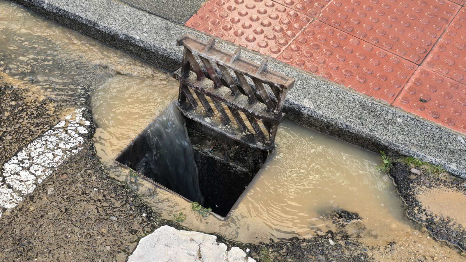 whatsapp-image-2025-04-25-at-18-30-20-2