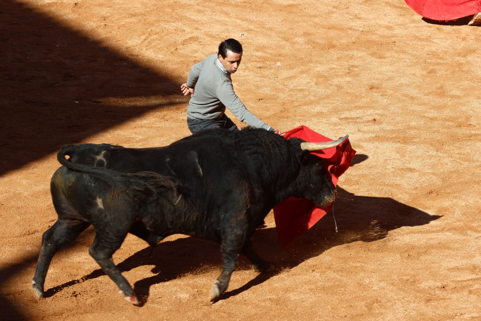 Capea de mañana en el martes del Carnaval del Toro de Ciudad Rodrigo