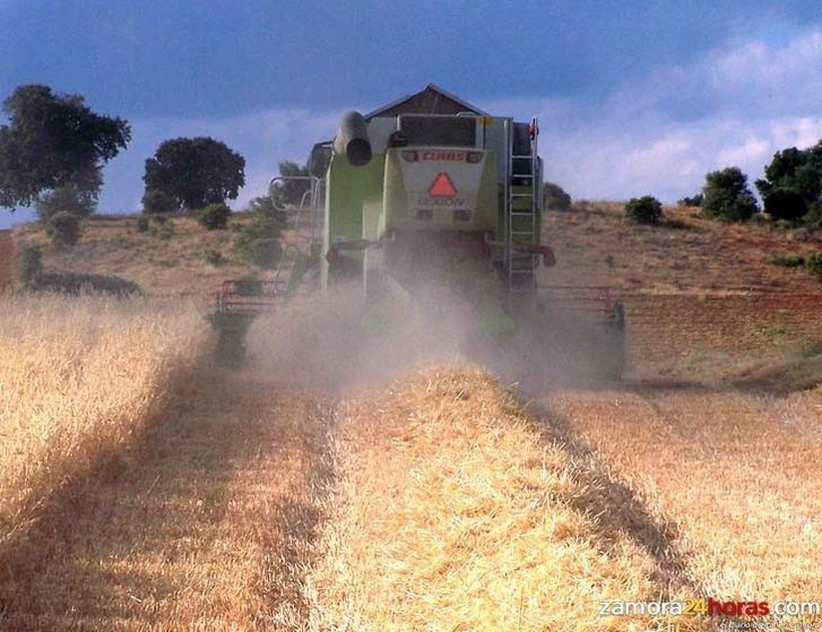 UCCL pide a la Consejería de Agricultura y Ganadería que adelante las fechas para el inicio de la cosecha en algunas parcelas