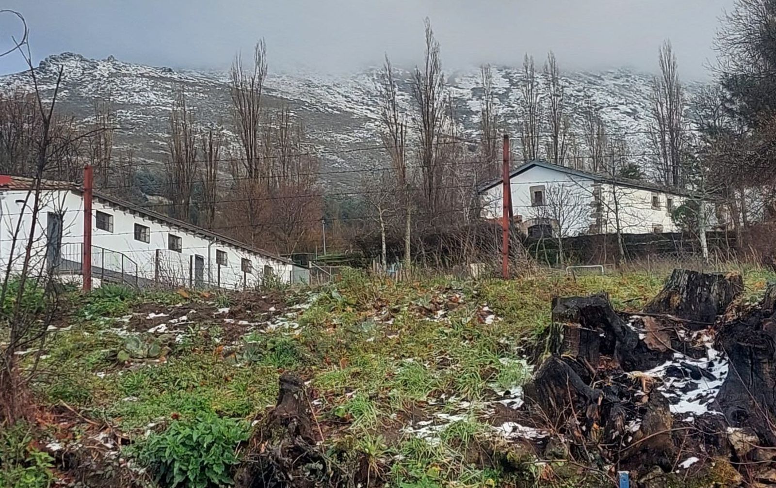 whatsapp-image-2024-02-10-at-17-50-50