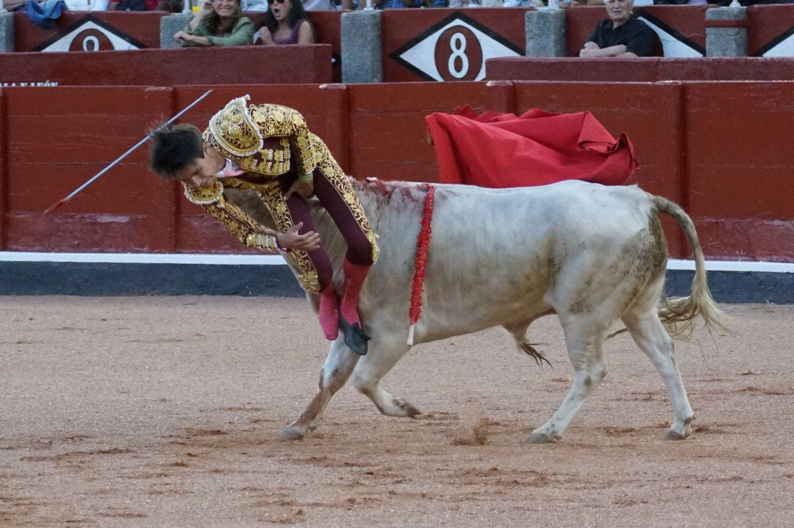 Clase práctica con alumnos de la Escuela de Tauromaquia de Salamanca (Diego Mateos, Noel García y Álvaro Rojo con erales de Esteban Isidro)