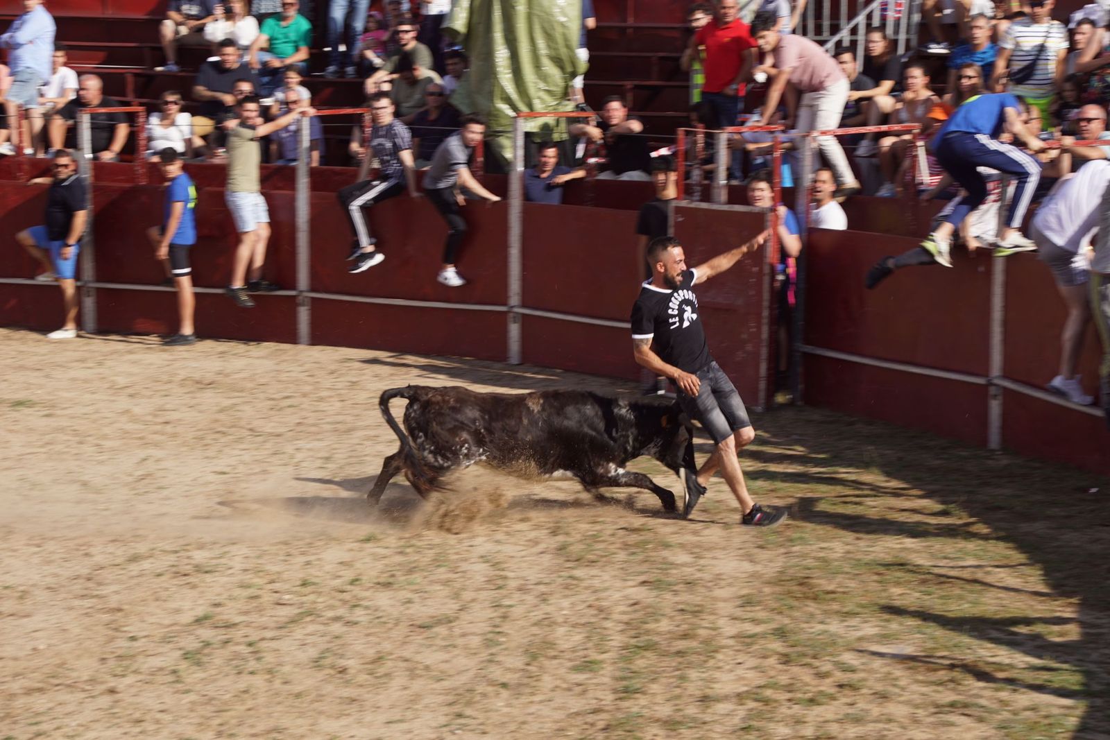 capea-fiestas-de-carrascal-de-barregas-3