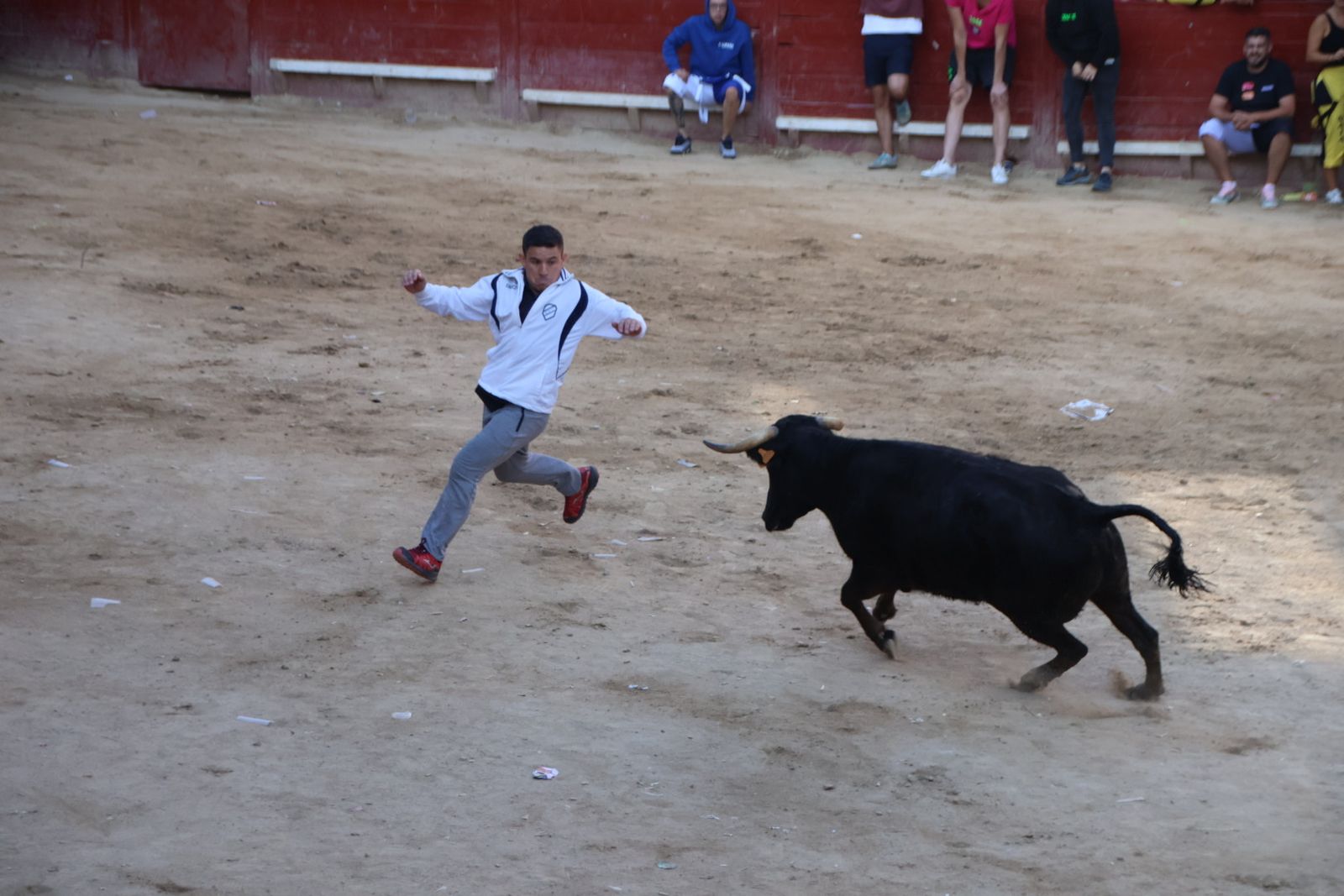 Encierro en Aldeadávila