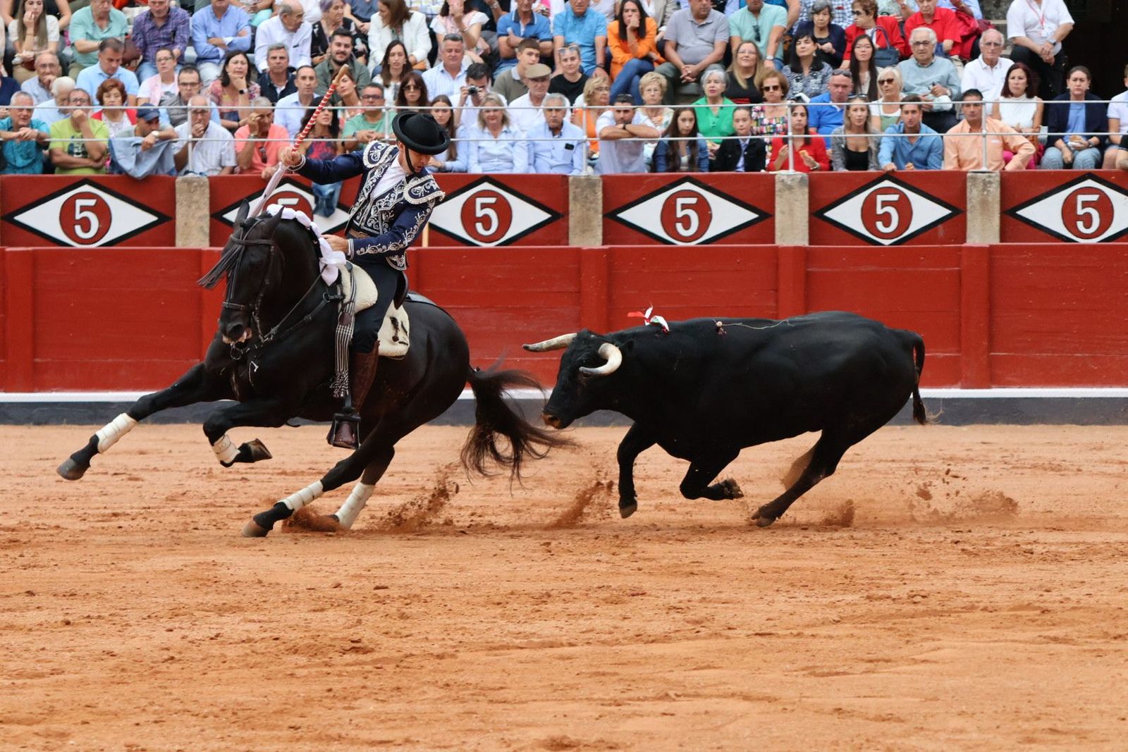 20230909181612-img-0638