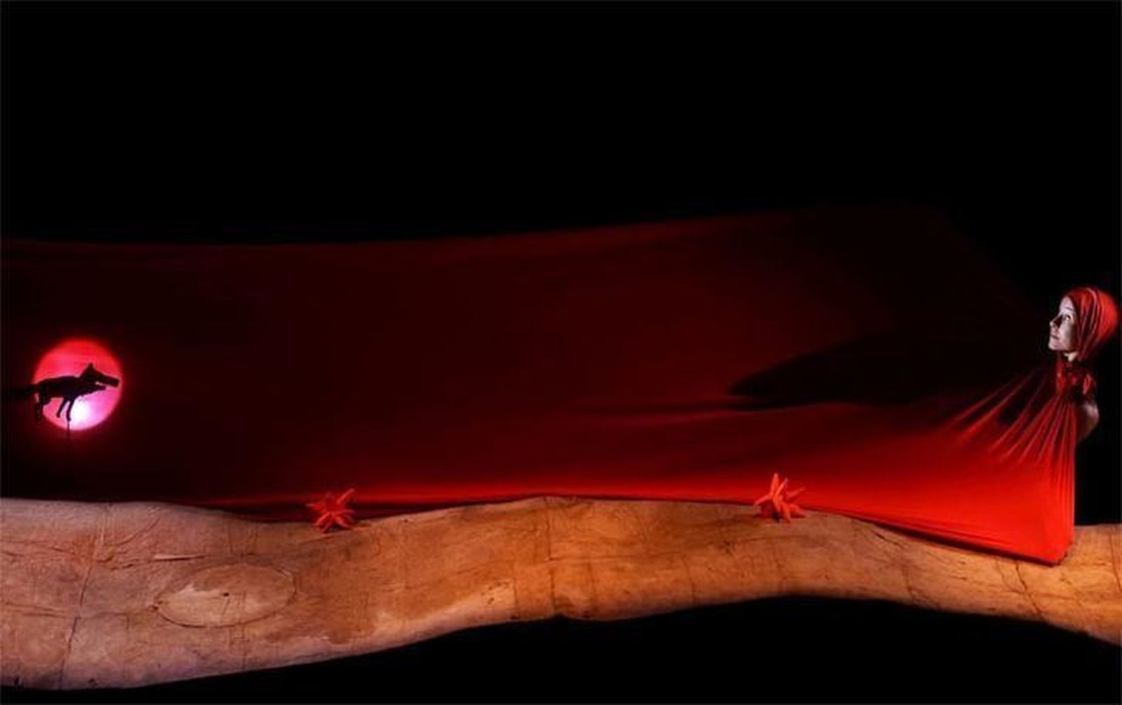 ‘El bosque de Grimm’, Mejor Espectáculo Infantil 2014, pone el broche final al Festival de Títeres