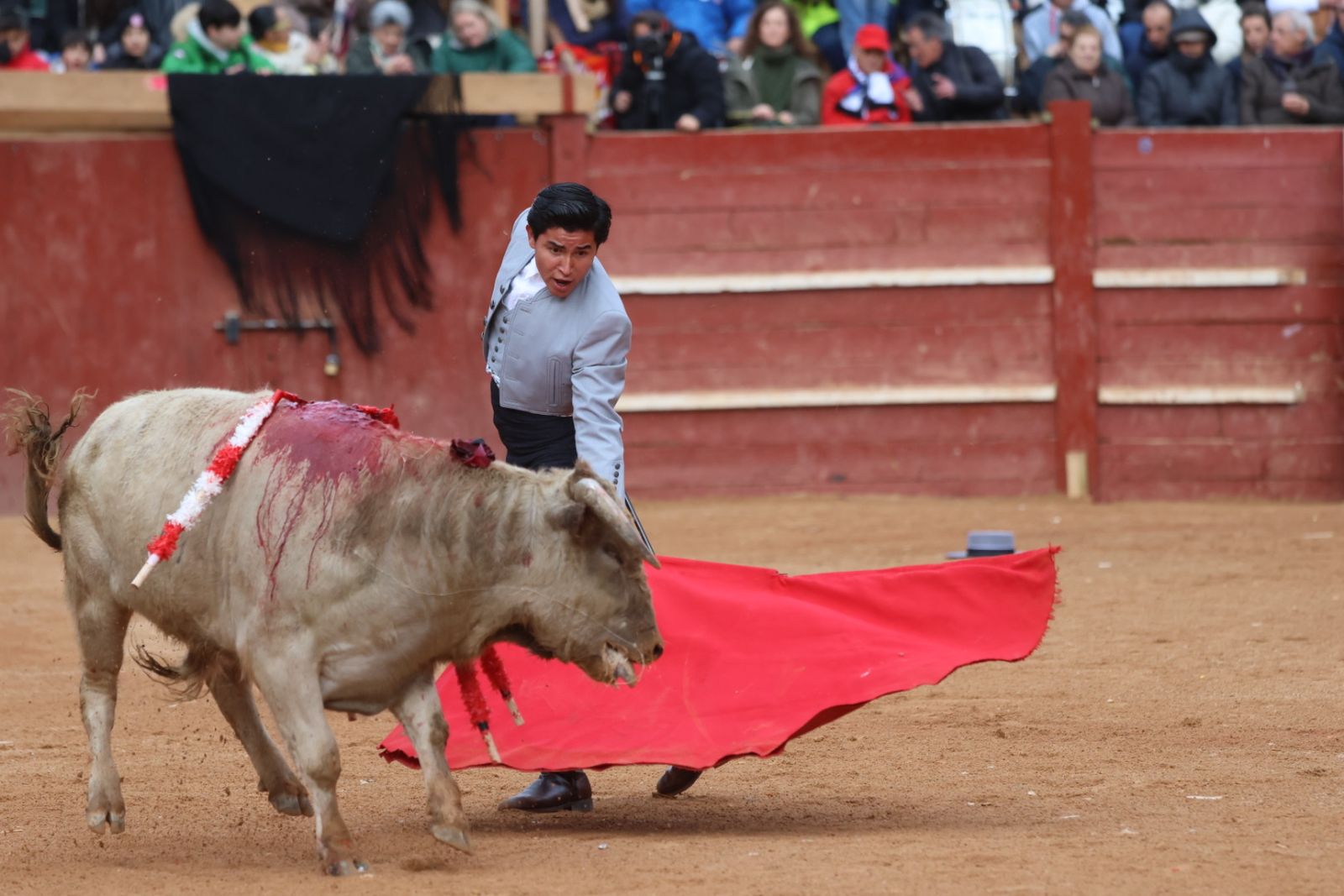 Novillada sin picadores del bolsín taurino y rejones en Ciudad Rodrigo