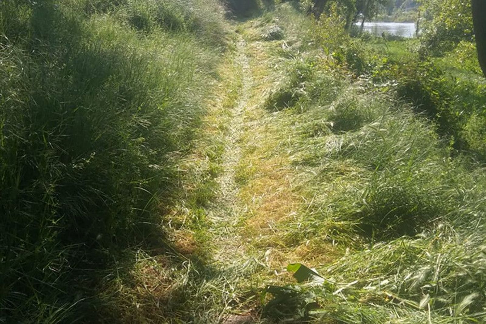 Nuevas jornadas de recogida de basura en el entorno natural de Toro