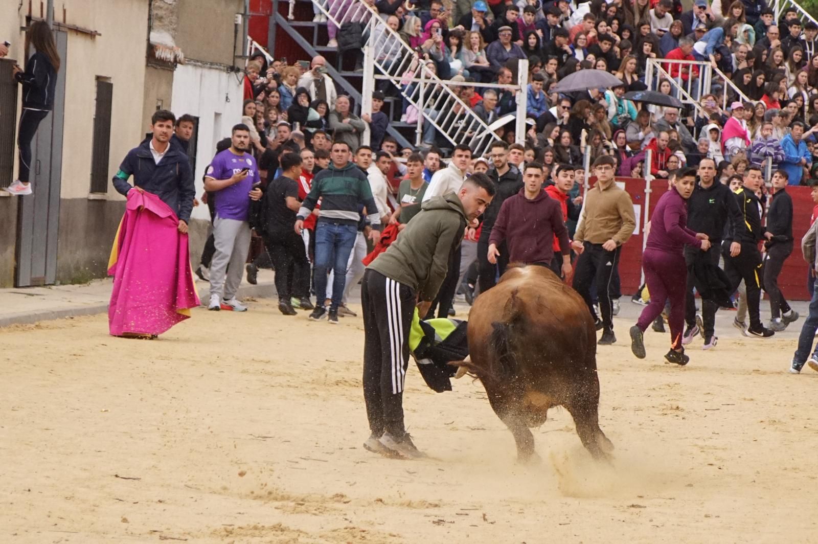 Villoria, toro del Voto