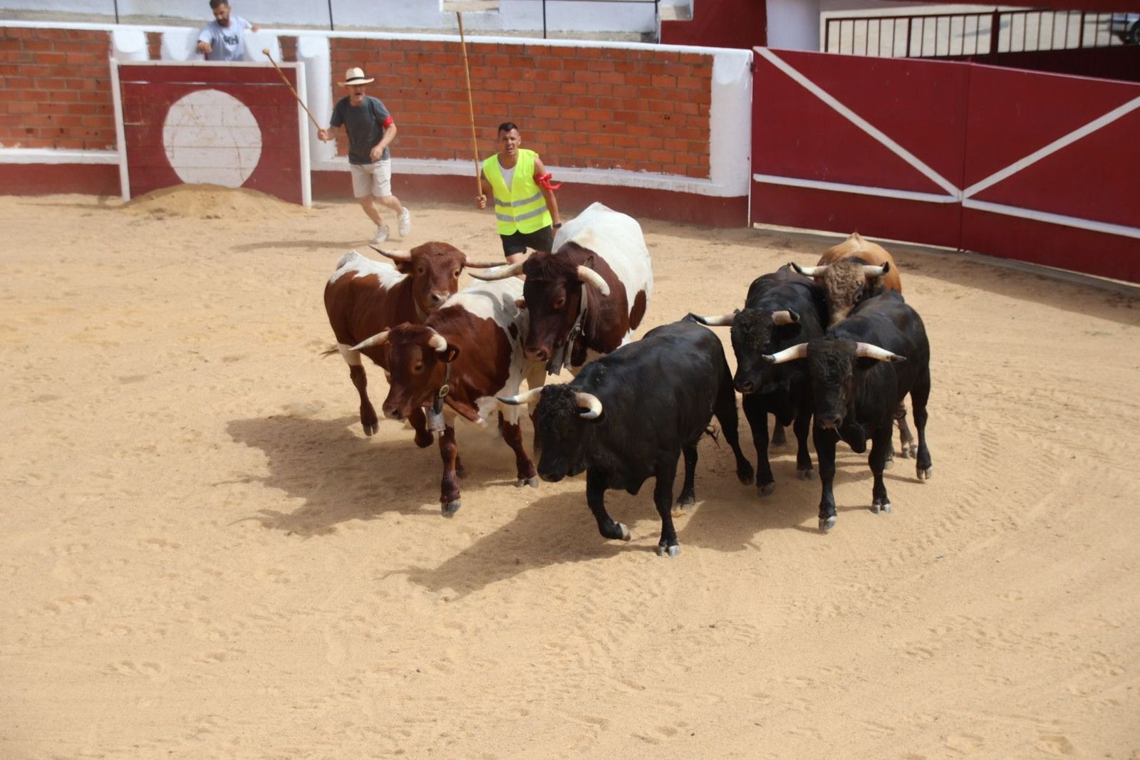 20230809113557-img-9549