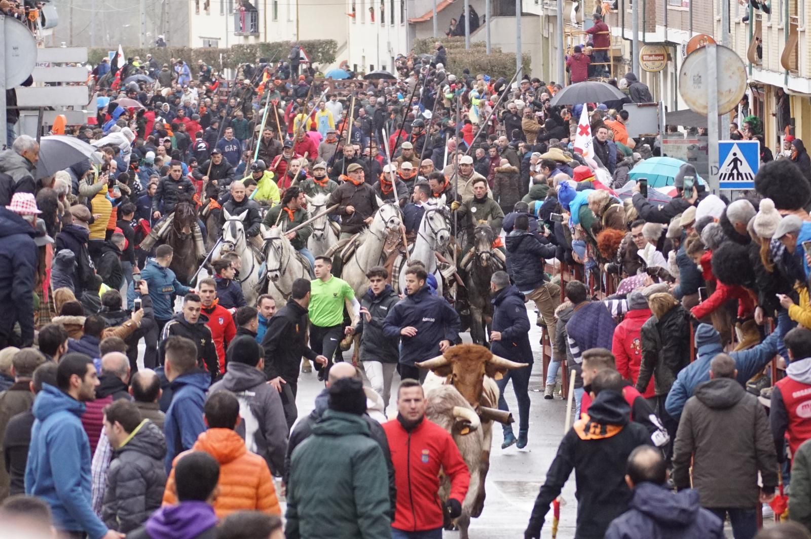 whatsapp-image-2024-02-11-at-11-48-46