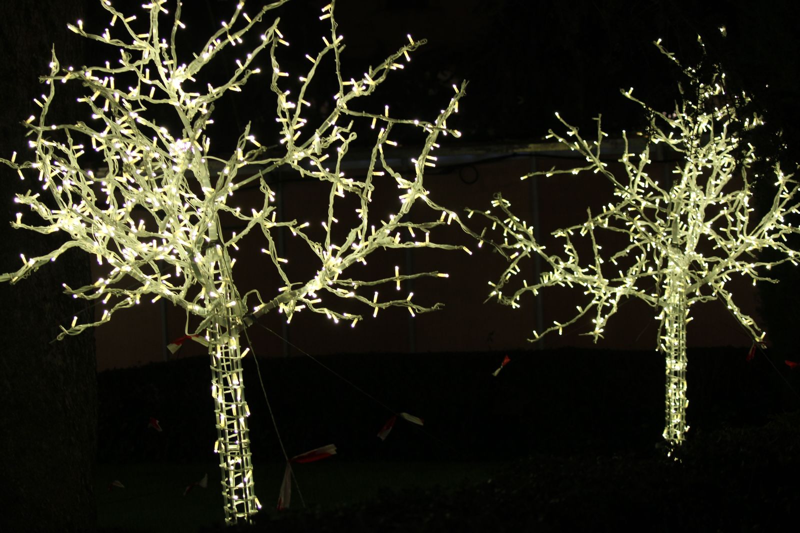 iluminacion-navidena-en-salamanca-2