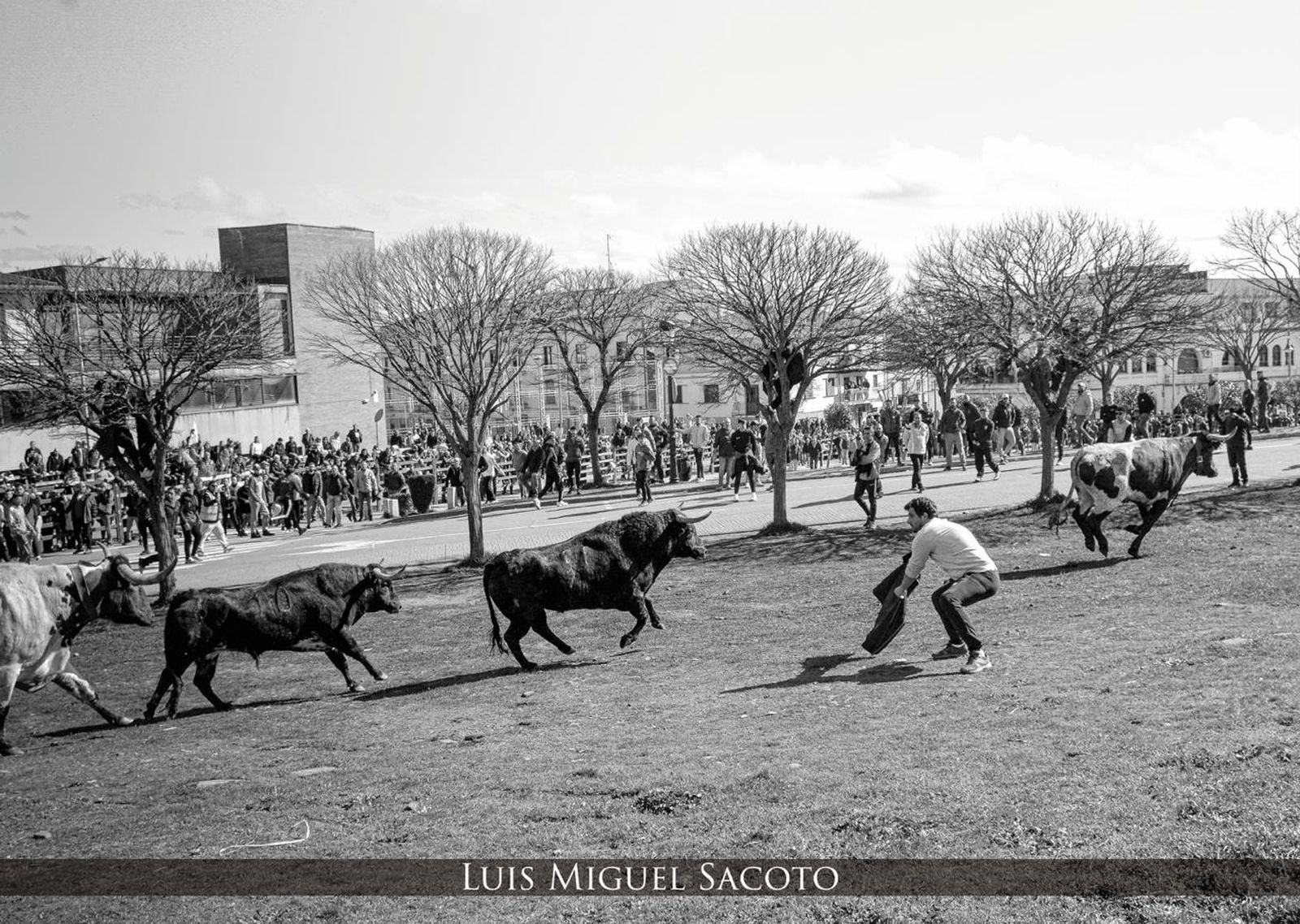 Fotografías seleccionadas para el calendario del Carnaval del Toro  (7).jpeg