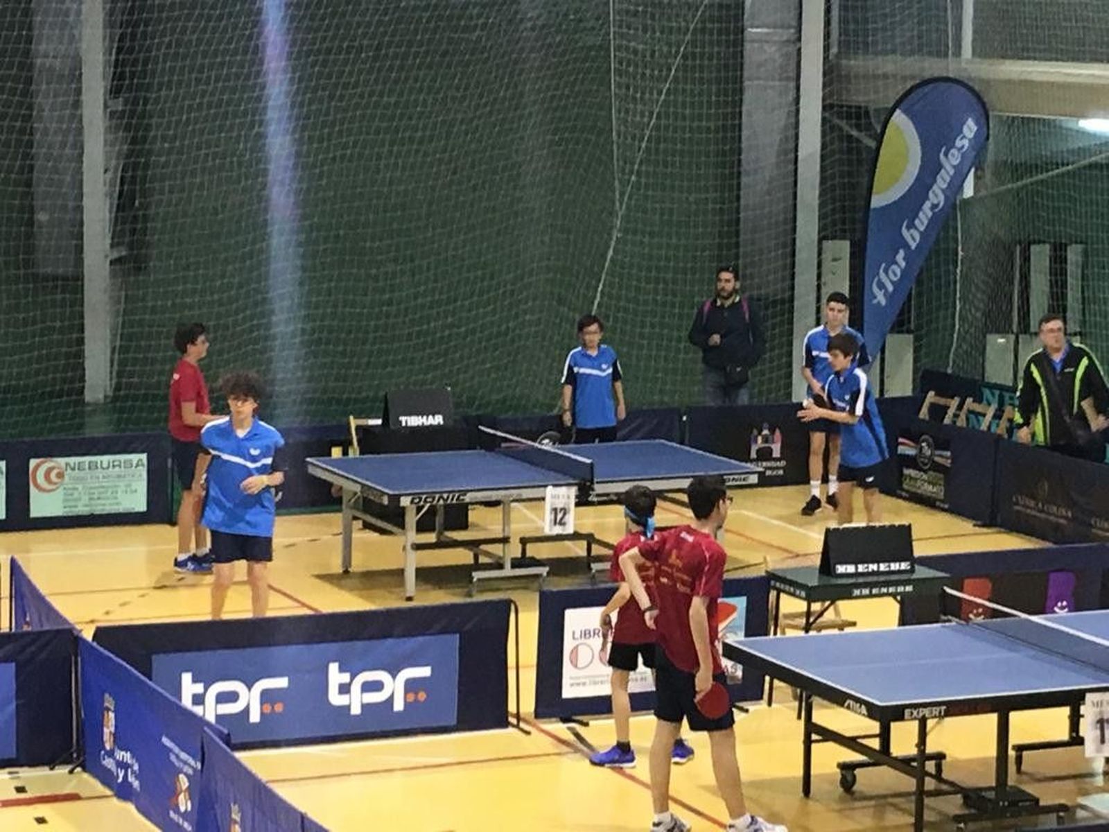 CUATRO COM`PONENTES GOSSIMA