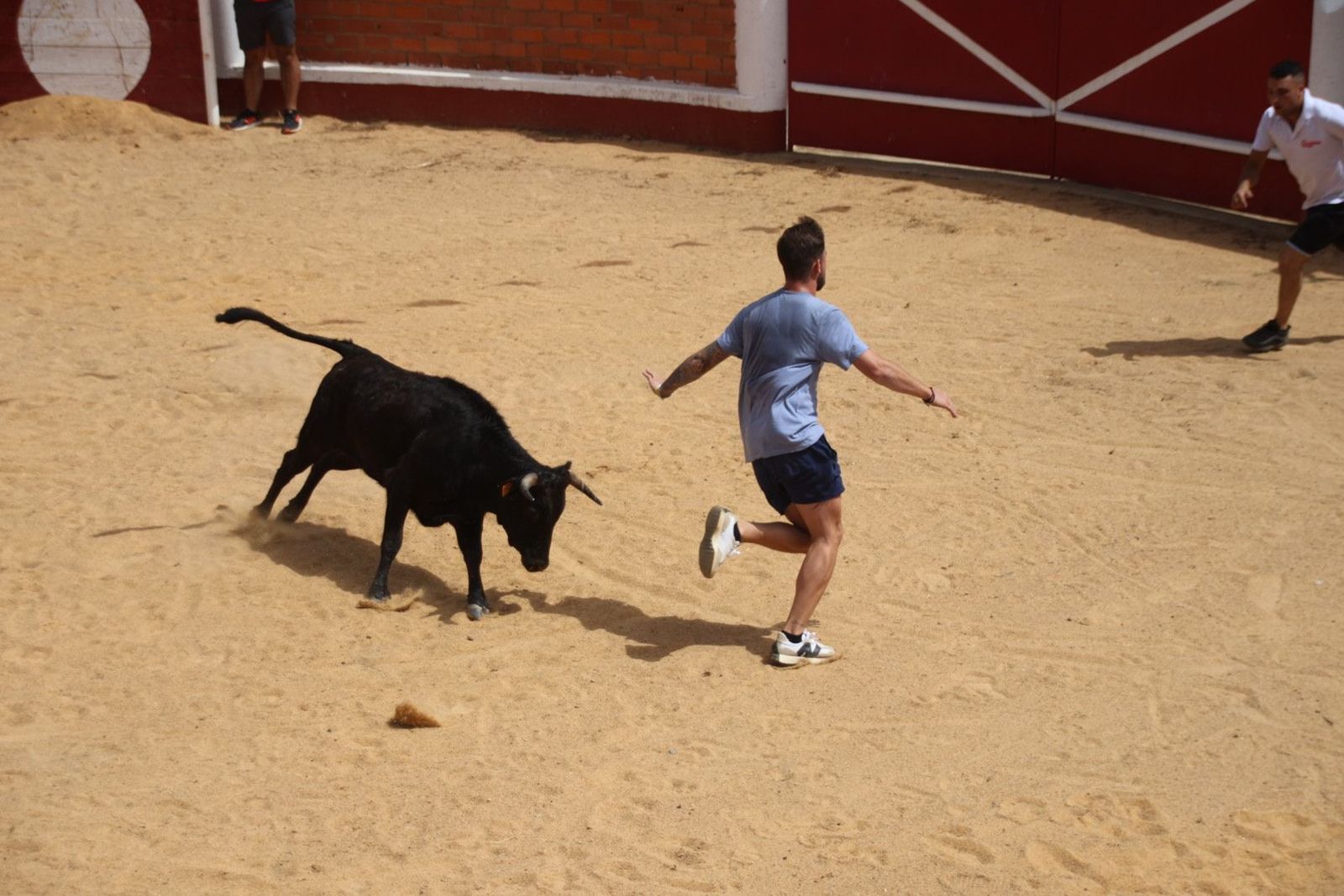 20230809120529-img-9631