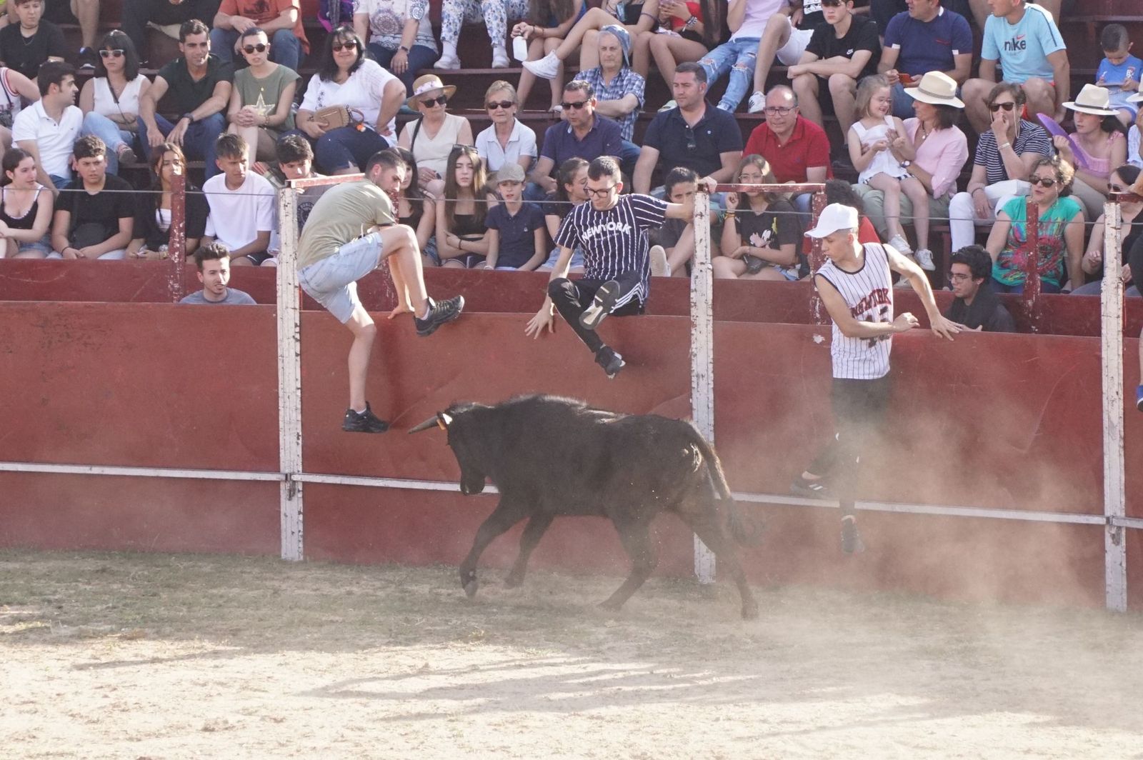 capea-fiestas-de-carrascal-de-barregas-20