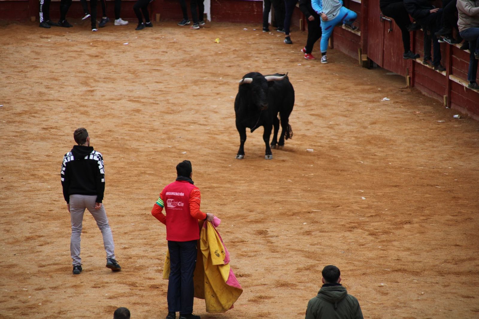 whatsapp-image-2025-03-01-at-13-18-39-1