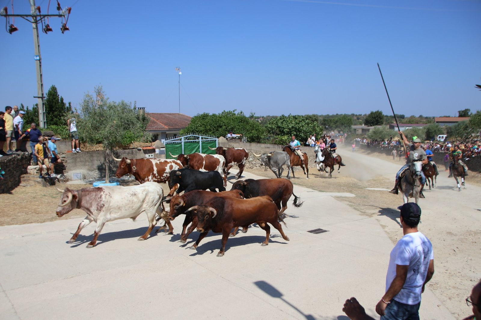 Lumbrales encierro a caballo