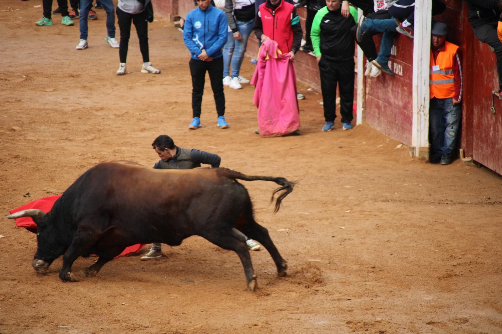 capea-matutina-del-martes-de-carnaval-44