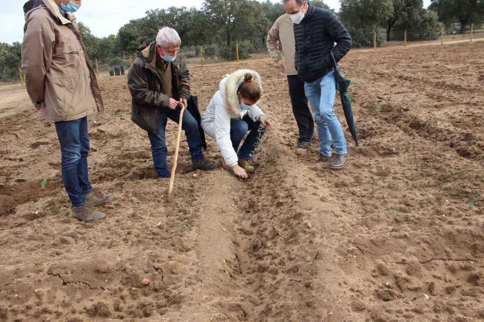 Medio Ambiente realiza una repoblación de más de 41 hectáreas en el Monte Coto por casi 74.000 euros
