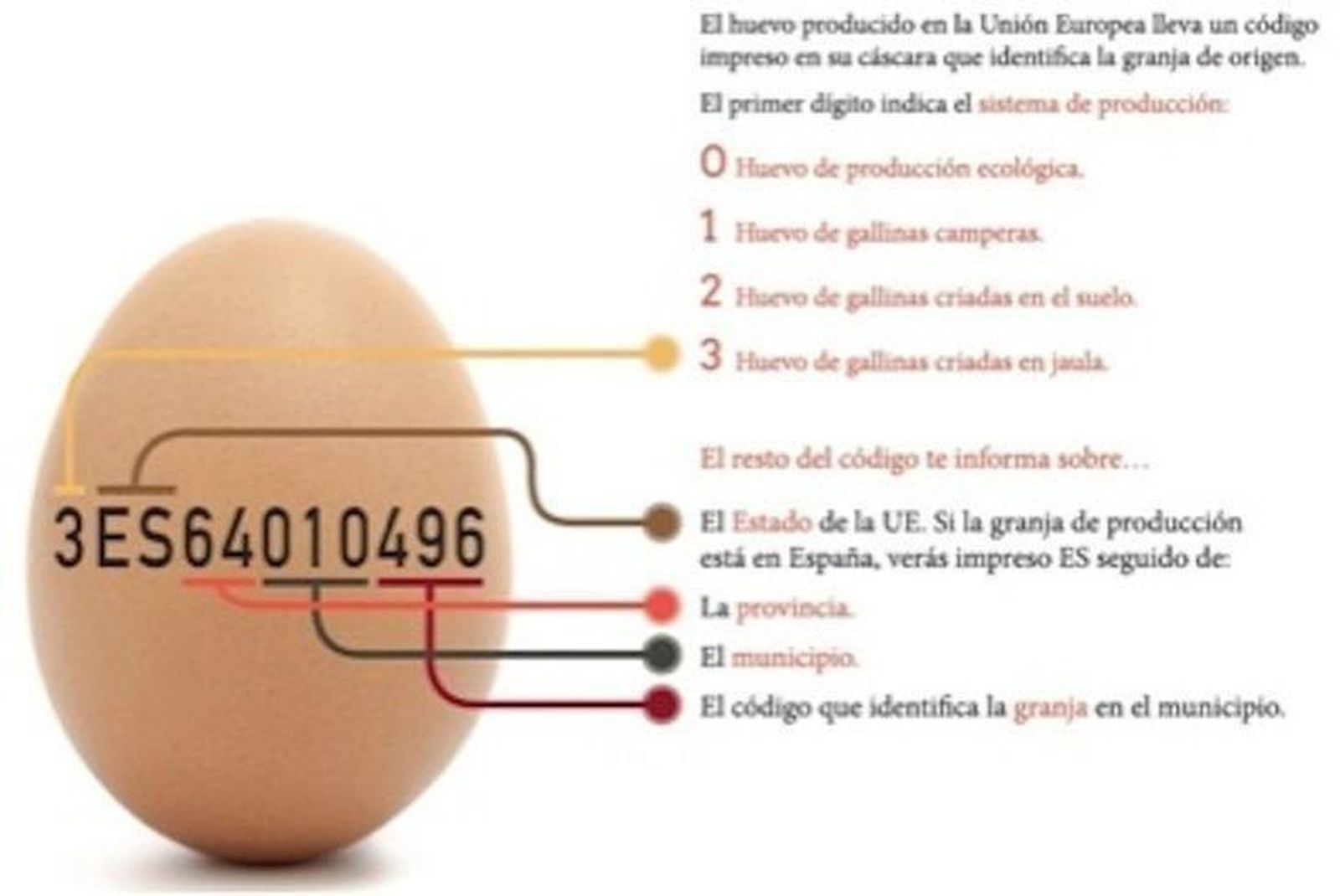¿Cómo saber la procedencia de un huevo?