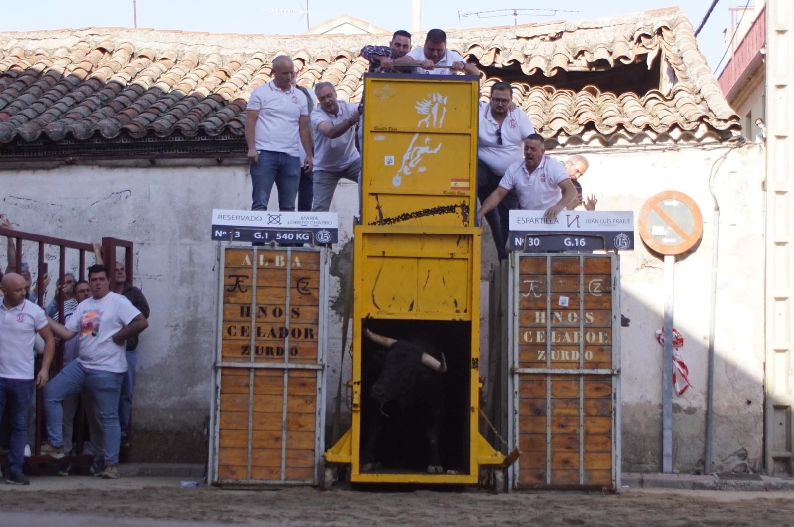 Toro del cajón y capea en Alba de Tormes