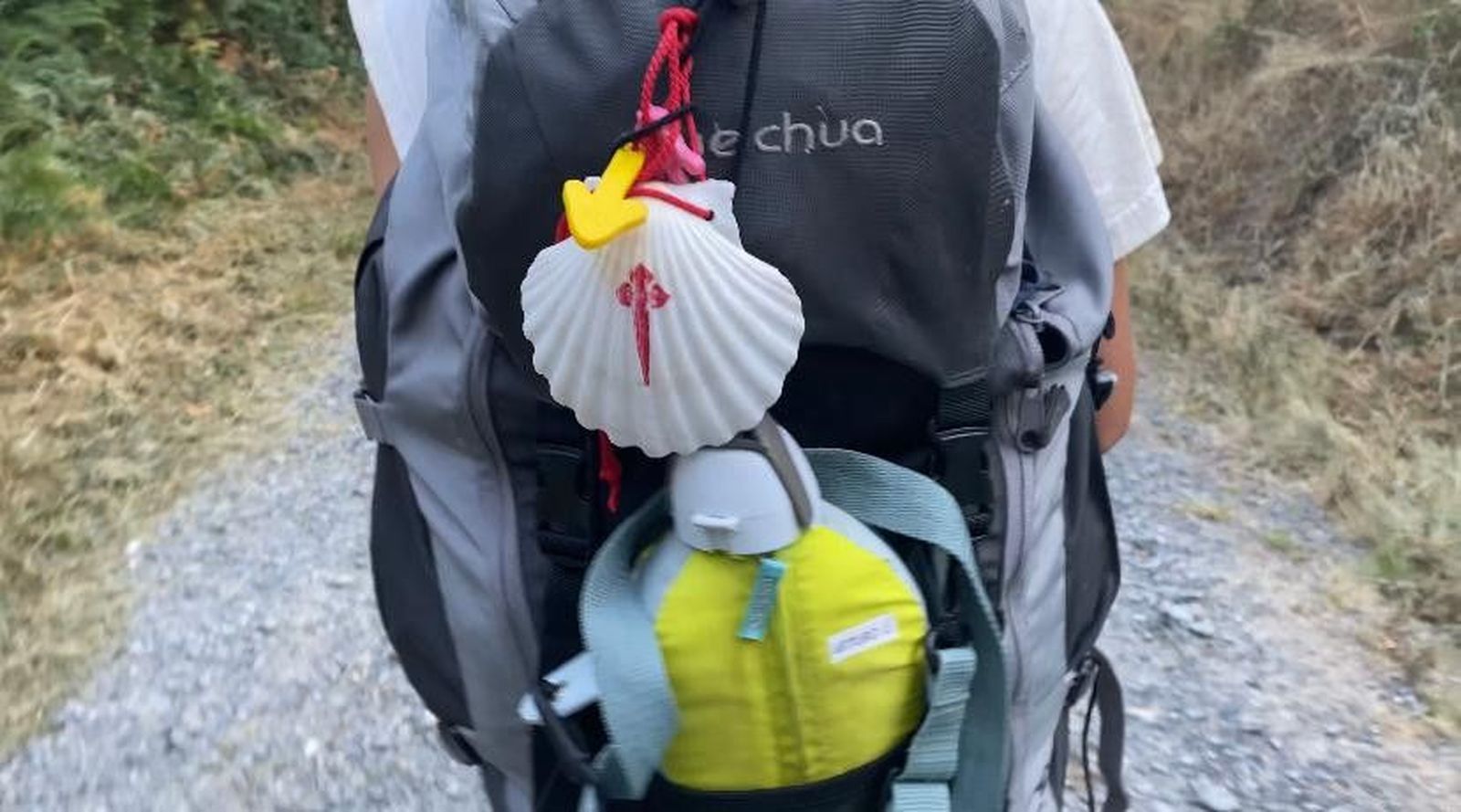 WhatsApp Image 2020 11 03 at 11.33.01