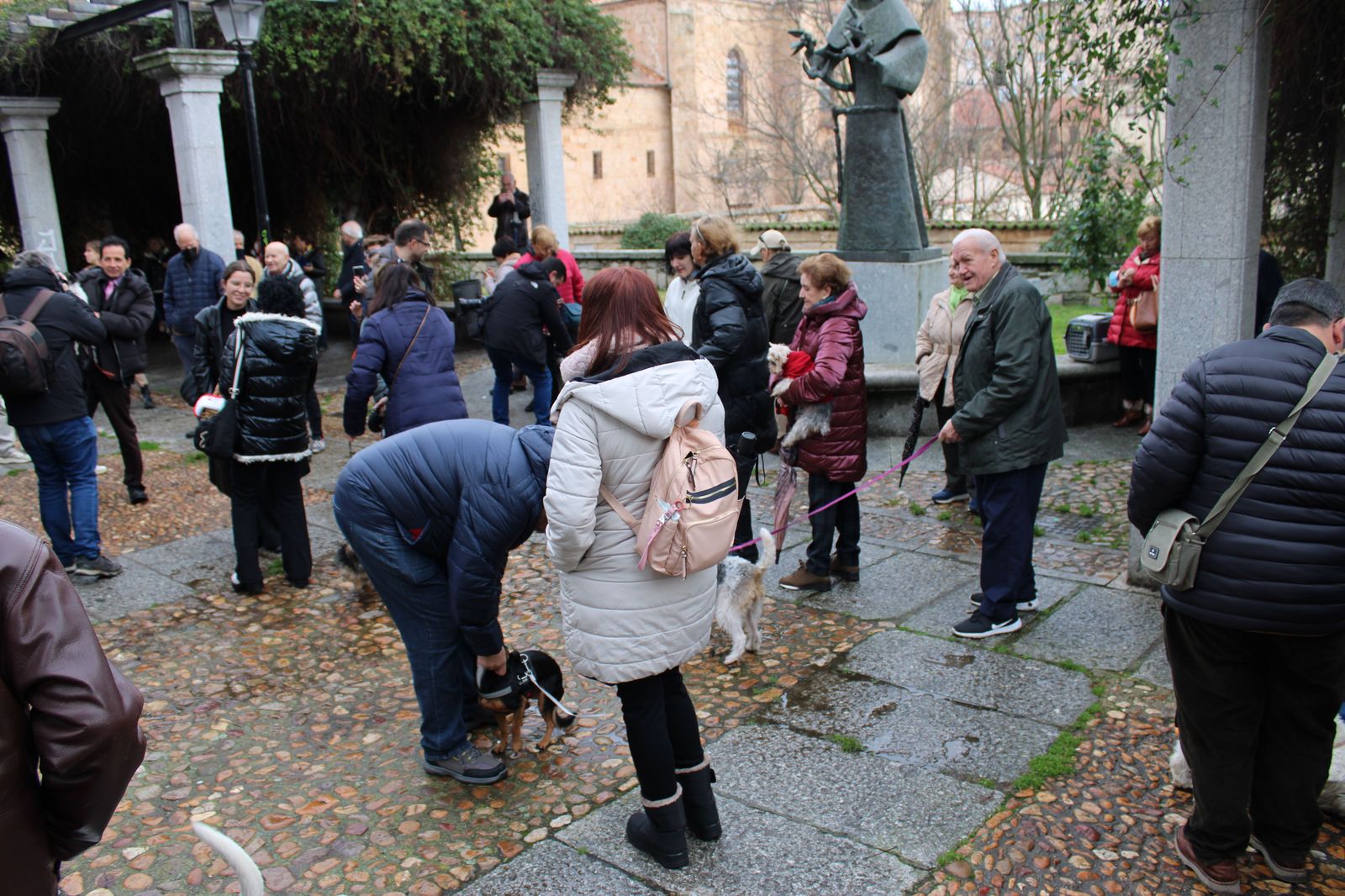 san-anton-bendicion-de-animales-2024-foto-s24h-34