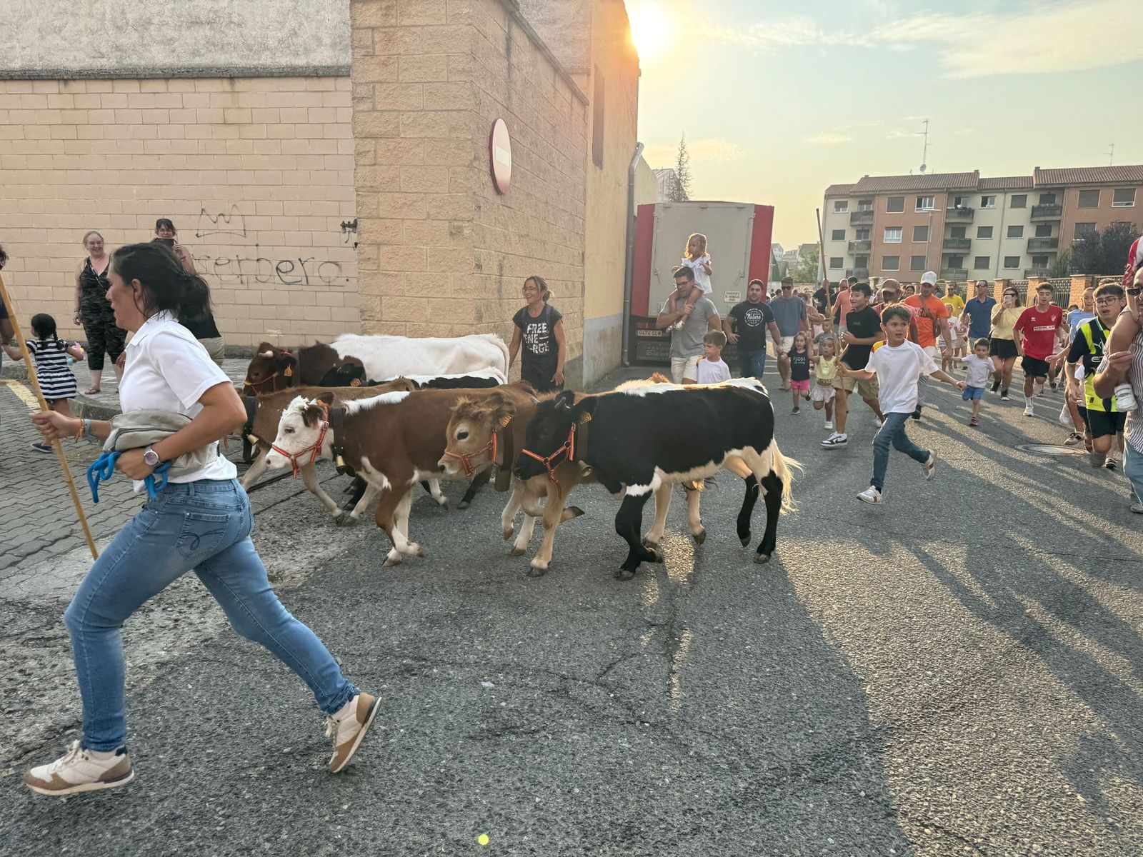 Encierro infantil de Mini Bueyes en Guijuelo durante sus fiestas 2025