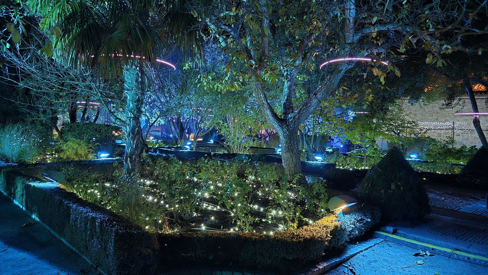 Pase para gráficos del ‘Jardín mágico del Huerto de Calixto y Melibea’