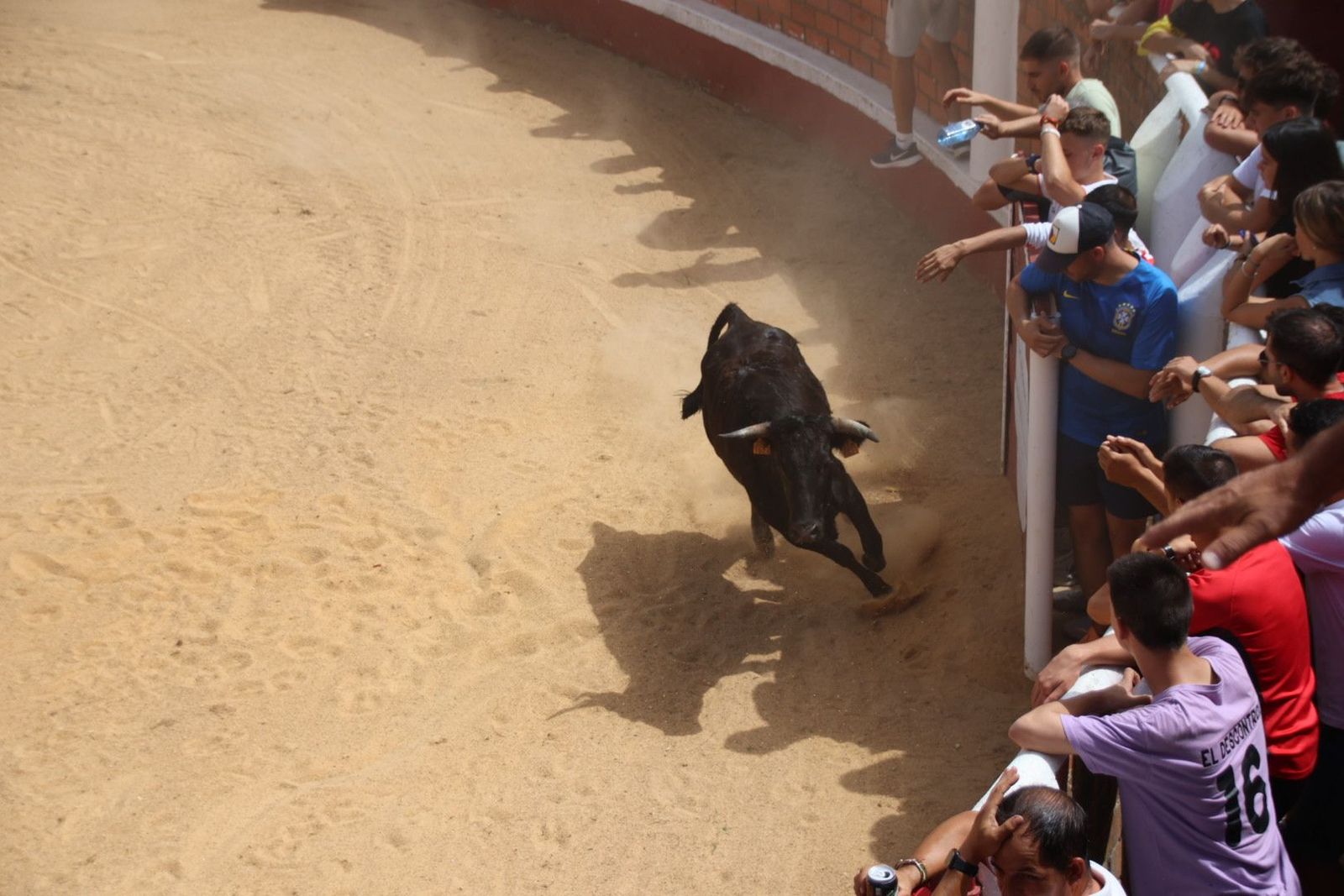 20230809115739-img-9593