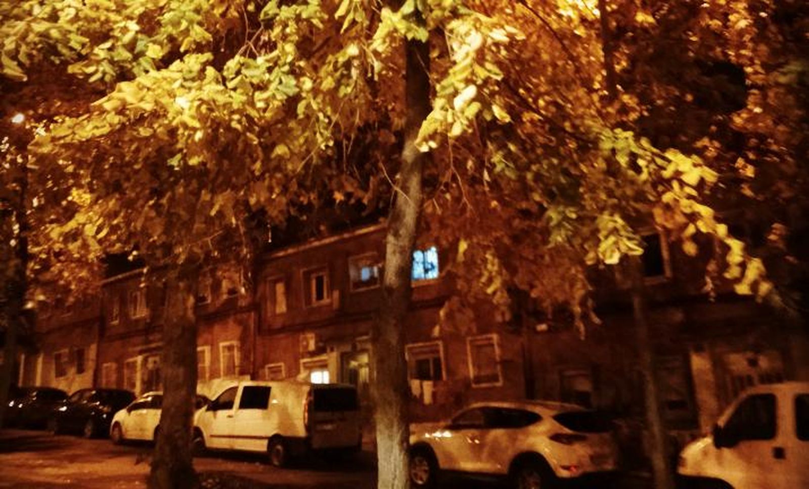 Quejas entre los vecinos de la calle Castañar por no podar los árboles que atascan canalones y provocan humedades