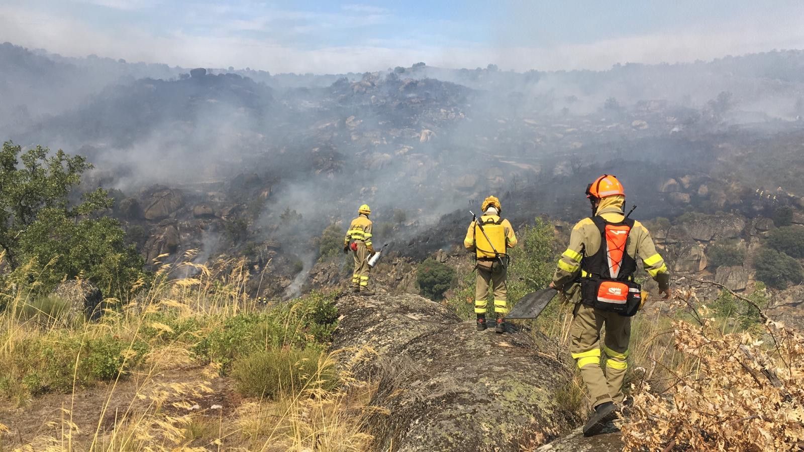 WhatsApp Image 2019 08 12 at 18.18.34