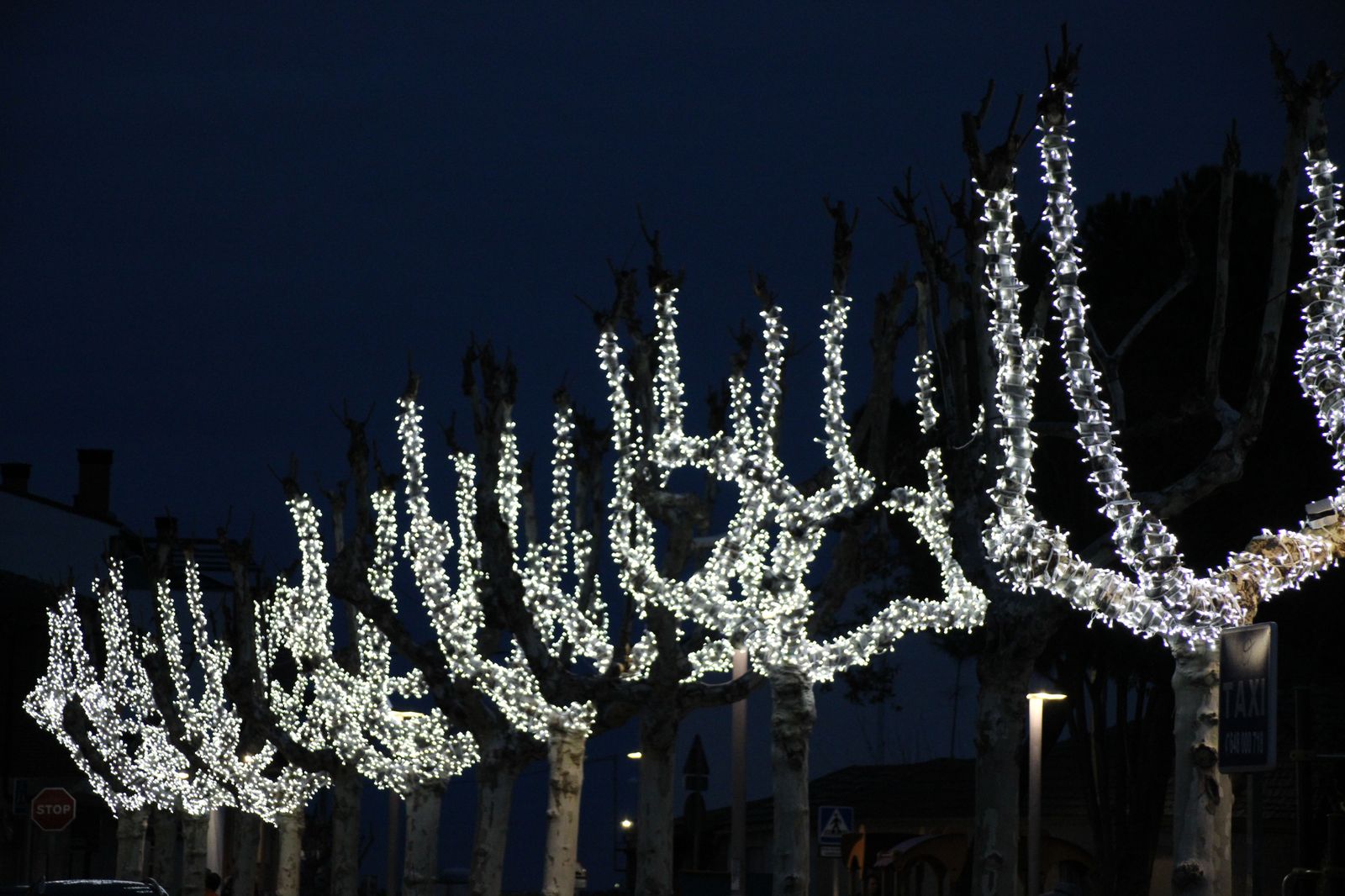 iluminacion-y-decoracion-navidena-en-castellanos-de-moriscos-6