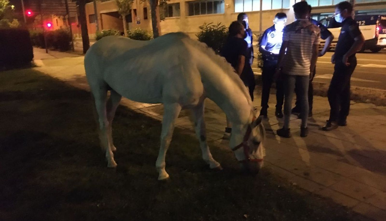 WhatsApp Image 2021 07 02 at 00.02.36