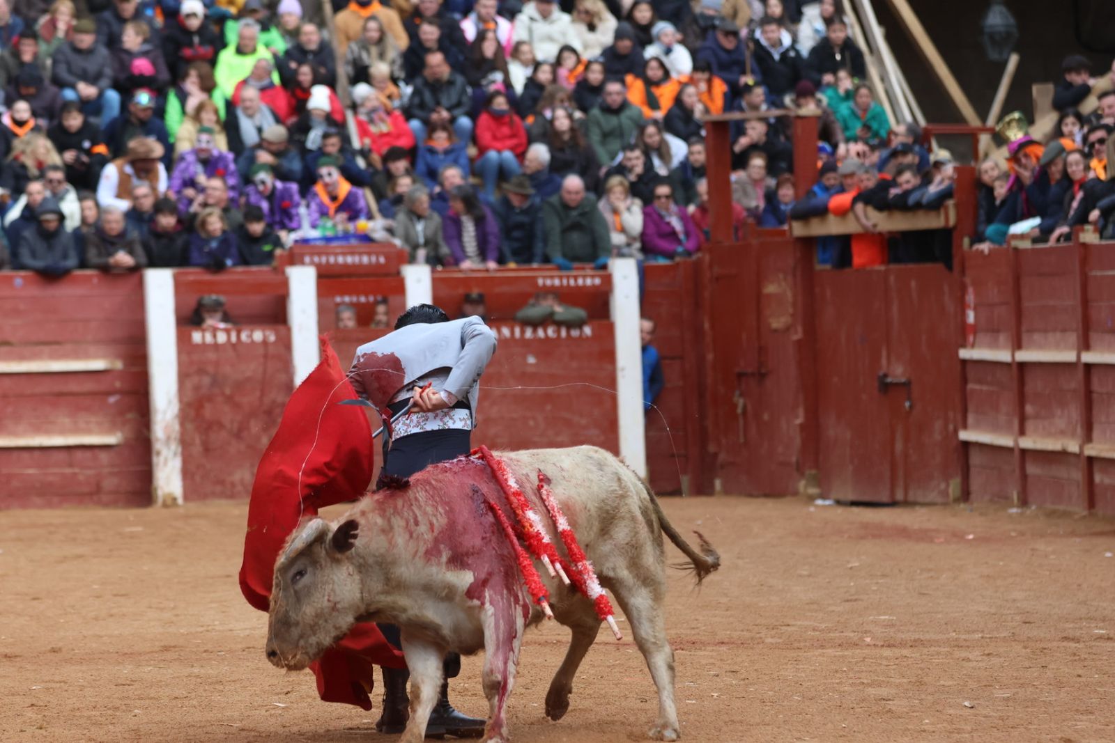 Novillada sin picadores del bolsín taurino y rejones en Ciudad Rodrigo