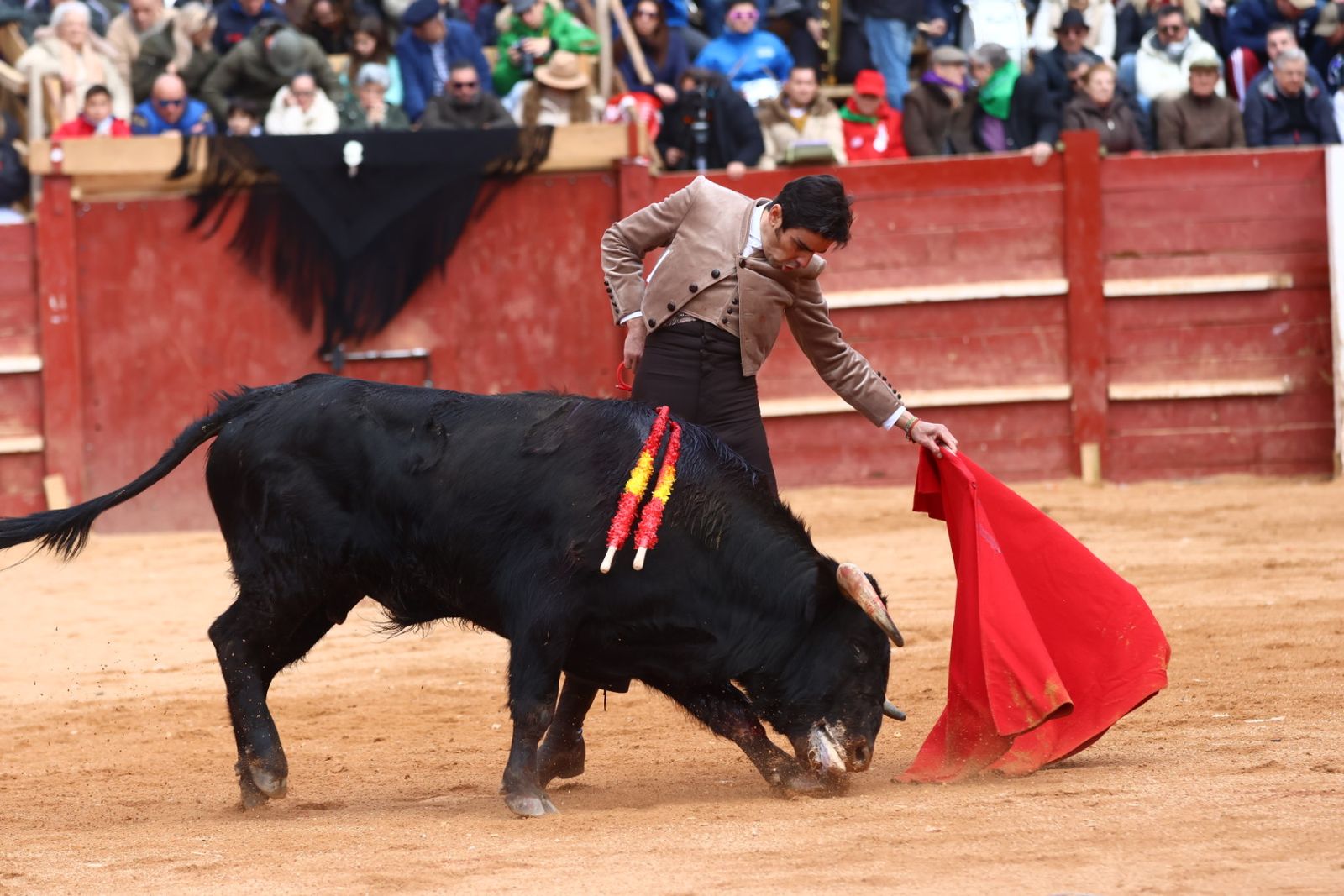 Festival del martes en el Carnaval del Toro 2026