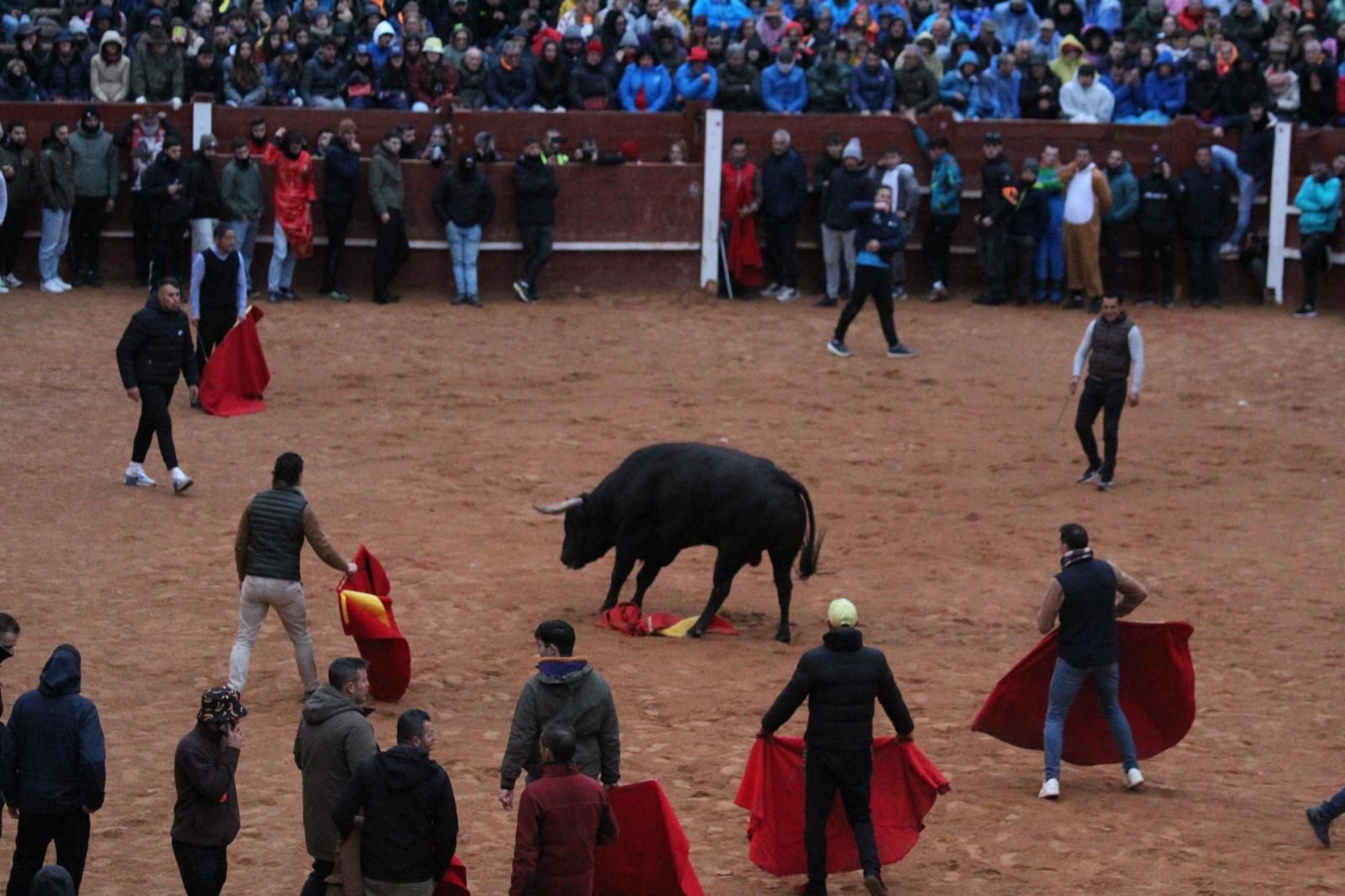ambiente-y-capea-vespertina-sabado-de-carnaval-en-ciudad-rodrigo-2025-fotos-belen-hurtado-31
