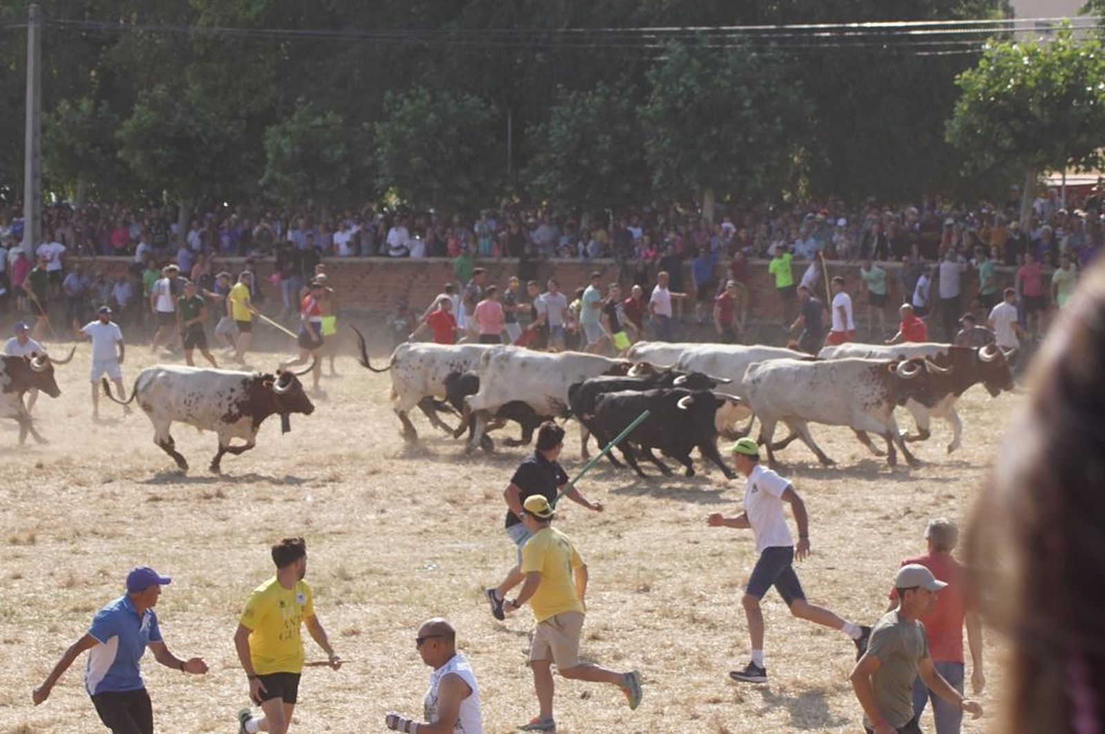 espantes-de-fuentesauco-24