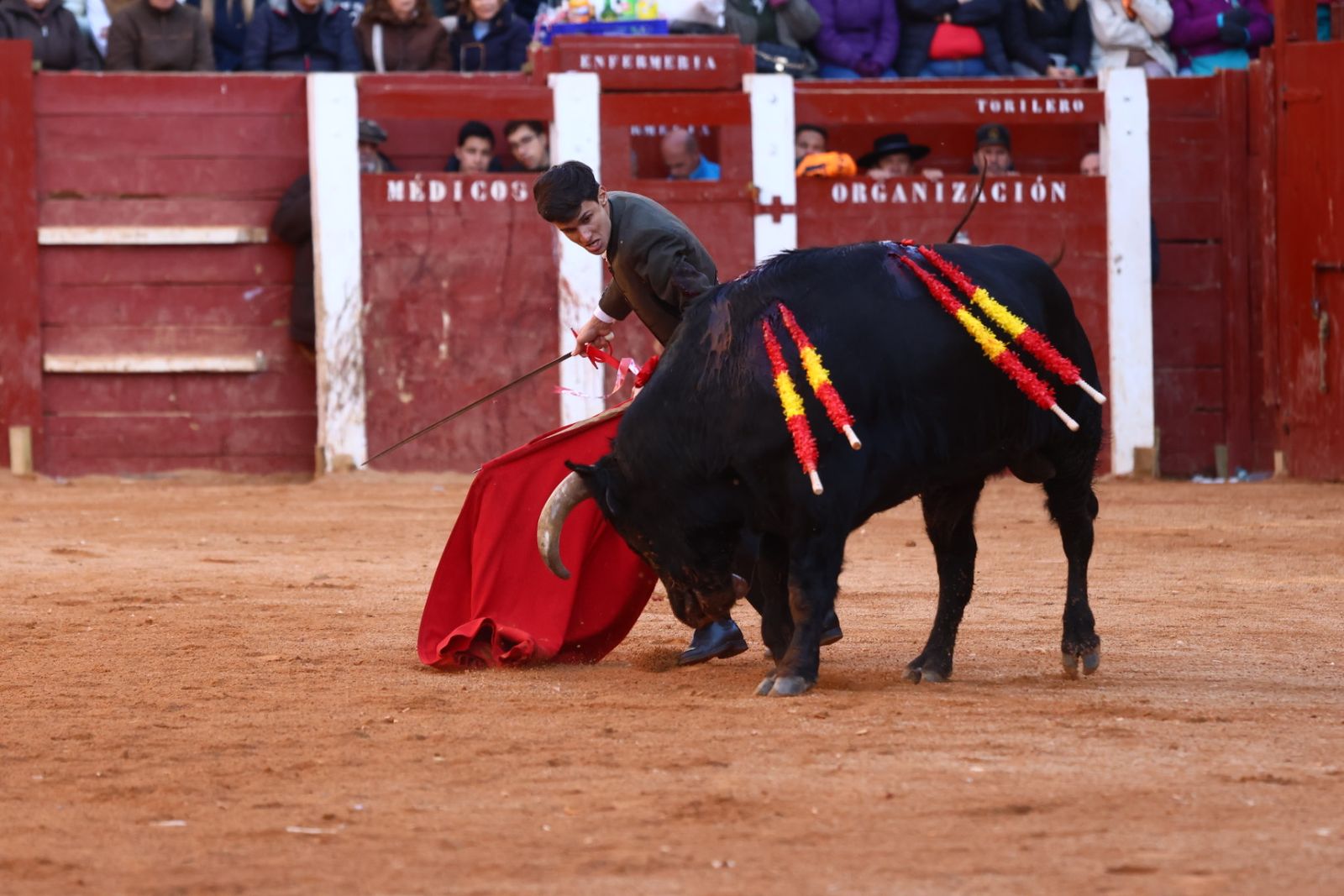 Festival del martes en el Carnaval del Toro 2026