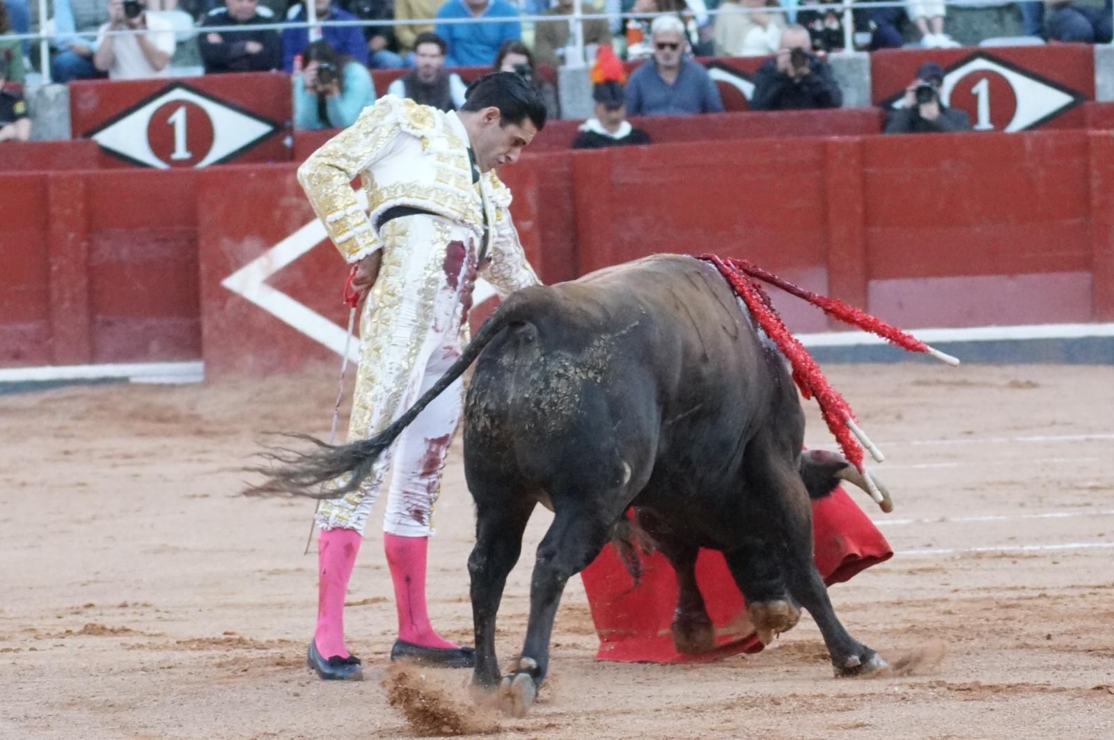 La corrida concurso para despedir la feria con Morante, Talavante y Borja Jiménez: imágenes de los mejores momentos en La Glorieta