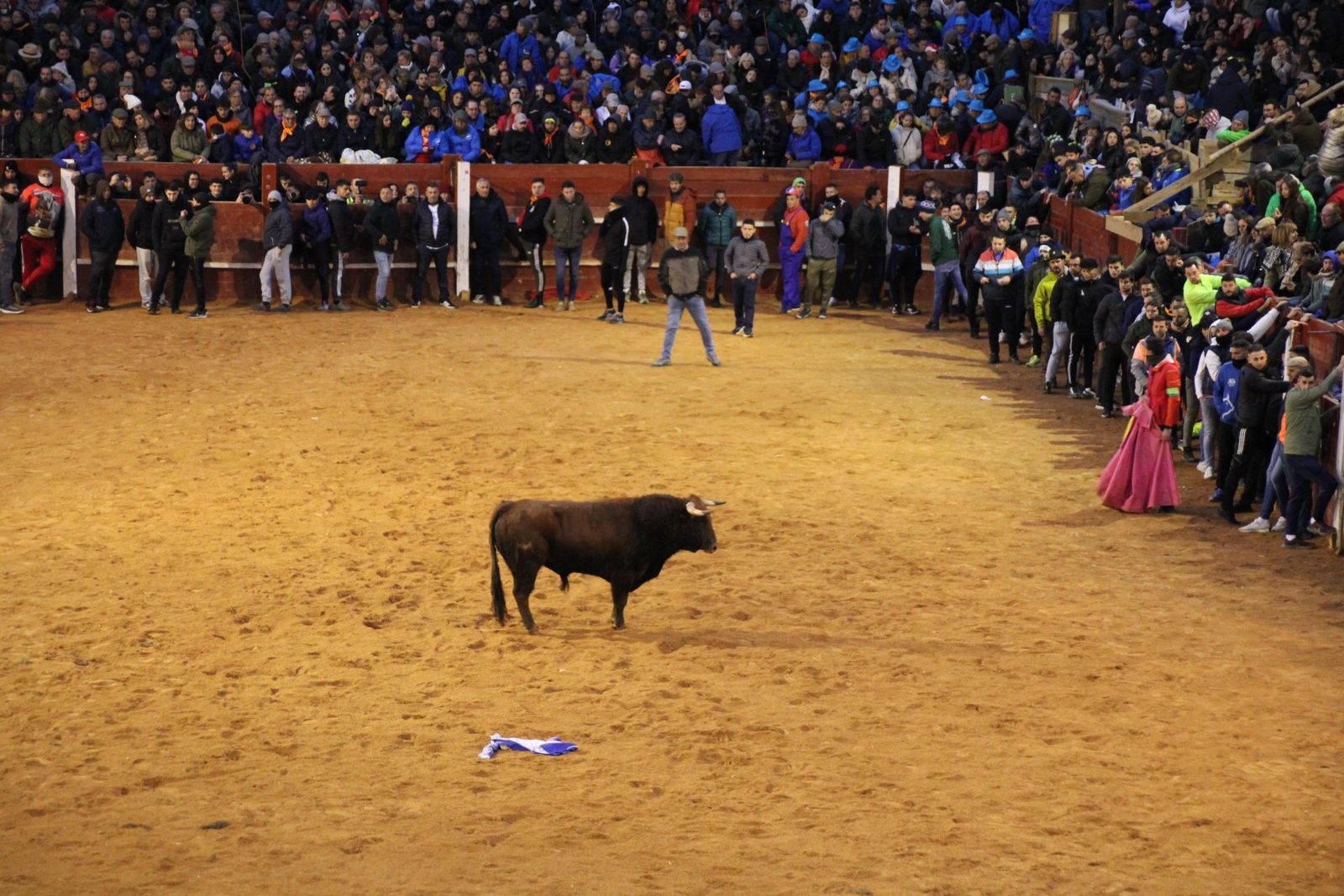 whatsapp-image-2025-03-02-at-19-32-43-2