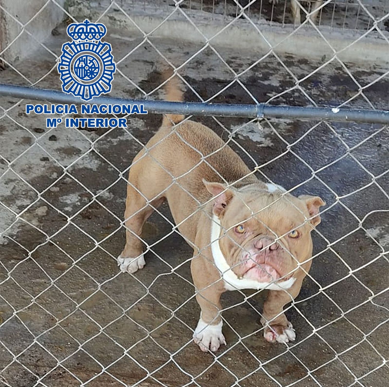 Foto6