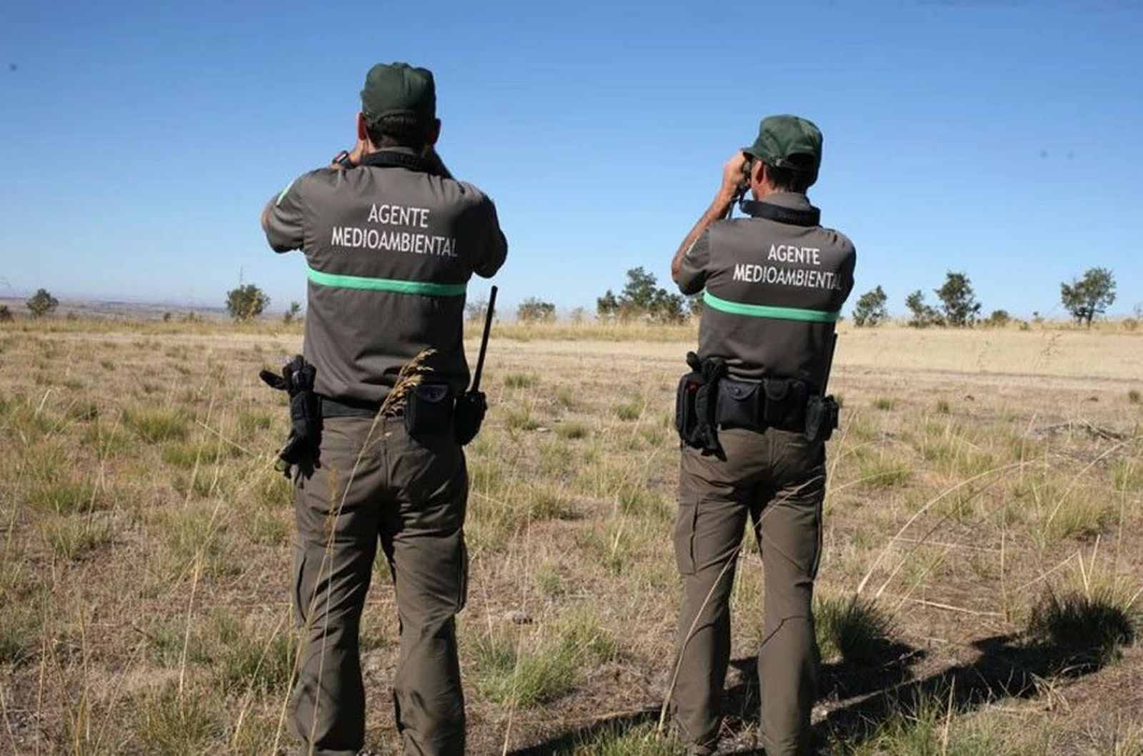 Agente medioambientales