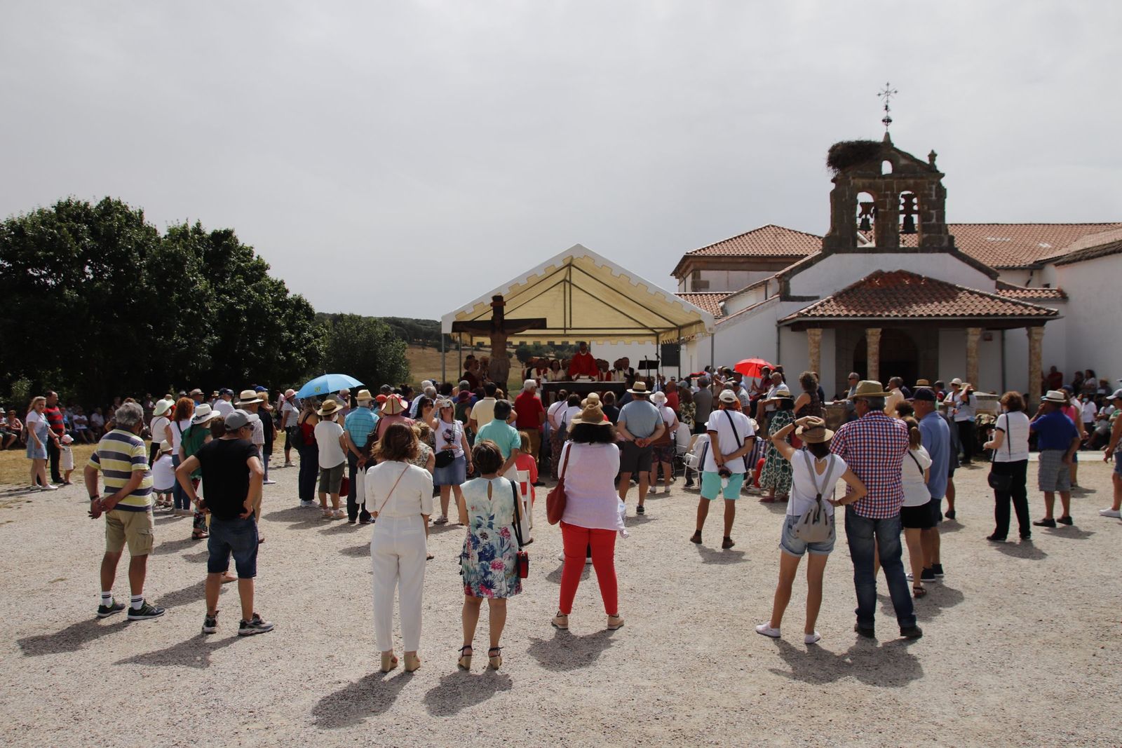 20220618112427-mg-4848