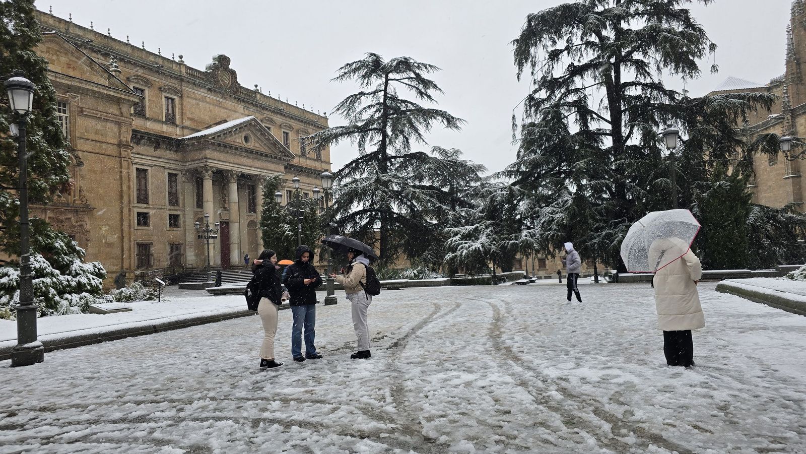 La nieve anega carreteras y tiñe de blanco Salamanca capital y provincia: imágenes de la nevada de este 28 de enero