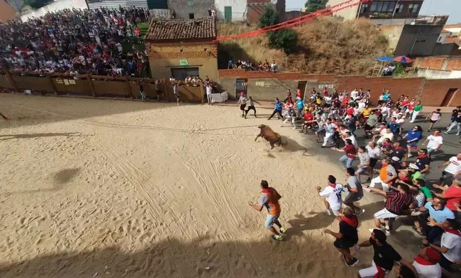 Celebración de los 'Toritos del Alba'. Foto: Benaventedigital